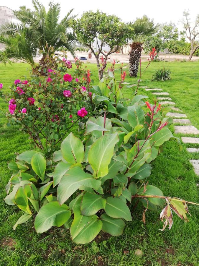 Il Giardino Dei Tramonti Bed & Breakfast Nardò Екстериор снимка