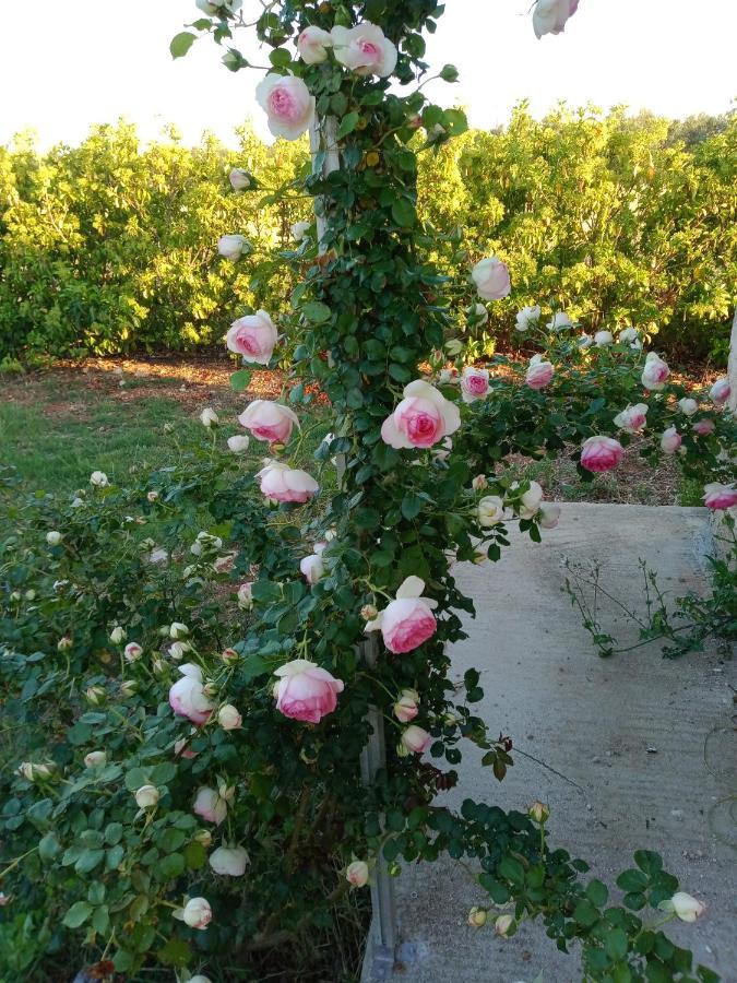 Il Giardino Dei Tramonti Bed & Breakfast Nardò Екстериор снимка